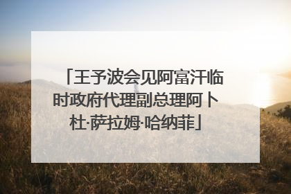 王予波会见阿富汗临时政府代理副总理阿卜杜·萨拉姆·哈纳菲