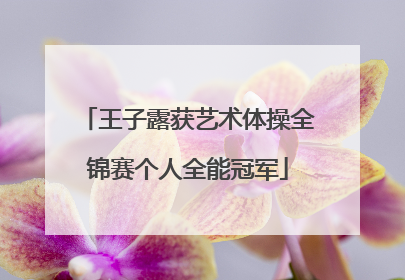 王子露获艺术体操全锦赛个人全能冠军