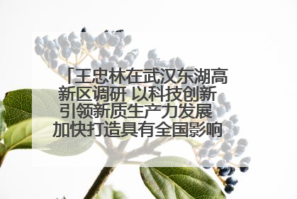 王忠林在武汉东湖高新区调研 以科技创新引领新质生产力发展 加快打造具有全国影响力的科技创新高地