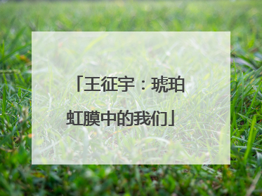 王征宇：琥珀虹膜中的我们