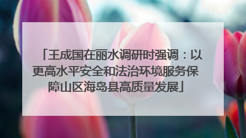 王成国在丽水调研时强调：以更高水平安全和法治环境服务保障山区海岛县高质量发展