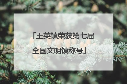 王英镇荣获第七届全国文明镇称号