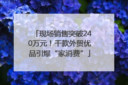 现场销售突破240万元！千款外贸优品引爆“家消费”