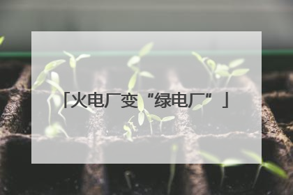 火电厂变“绿电厂”