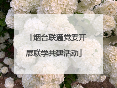 烟台联通党委开展联学共建活动