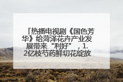 热播电视剧《国色芳华》给菏泽花卉产业发展带来“利好”，1.2亿枝芍药鲜切花绽放“国色芳华”