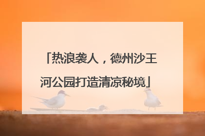 热浪袭人，德州沙王河公园打造清凉秘境