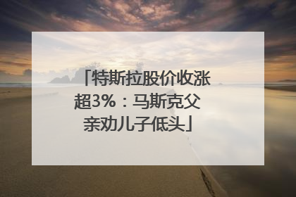 特斯拉股价收涨超3%：马斯克父亲劝儿子低头