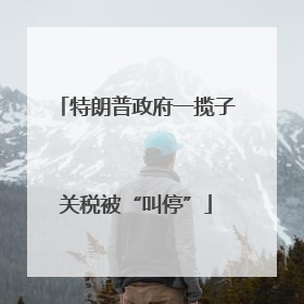特朗普政府一揽子关税被“叫停”