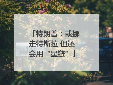 特朗普：或挪走特斯拉 但还会用“星链”