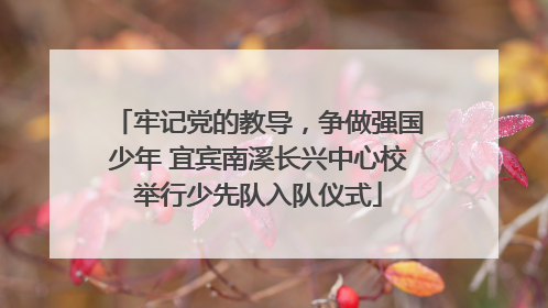 牢记党的教导，争做强国少年 宜宾南溪长兴中心校举行少先队入队仪式