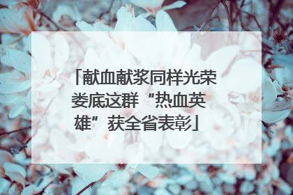 献血献浆同样光荣 娄底这群“热血英雄”获全省表彰