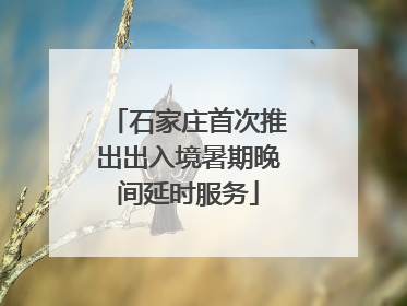 石家庄首次推出出入境暑期晚间延时服务