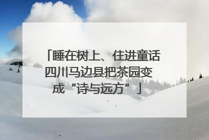 睡在树上、住进童话 四川马边县把茶园变成“诗与远方”
