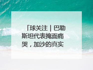 球关注｜巴勒斯坦代表掩面痛哭，加沙的真实现状让人痛心