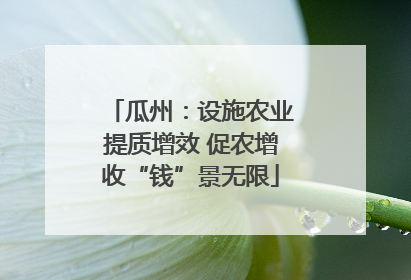 瓜州：设施农业提质增效 促农增收“钱”景无限