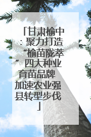 甘肃榆中：聚力打造“榆苗陇萃”四大种业育苗品牌 加速农业强县转型步伐