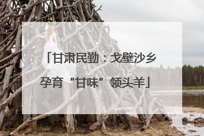 甘肃民勤：戈壁沙乡孕育“甘味”领头羊