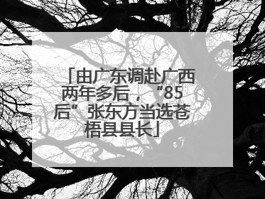 由广东调赴广西两年多后，“85后”张东方当选苍梧县县长