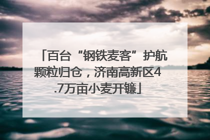 百台“钢铁麦客”护航颗粒归仓，济南高新区4.7万亩小麦开镰