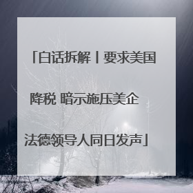 白话拆解丨要求美国降税 暗示施压美企 法德领导人同日发声