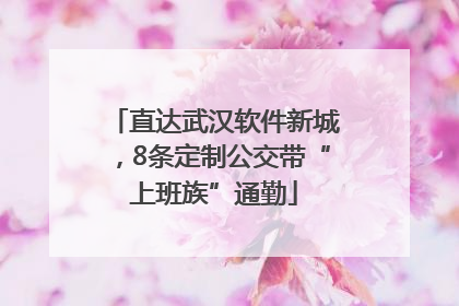 直达武汉软件新城，8条定制公交带“上班族”通勤