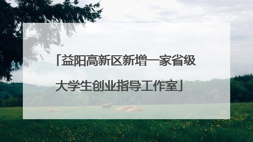 益阳高新区新增一家省级大学生创业指导工作室