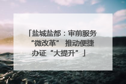 盐城盐都：审前服务“微改革” 推动便捷办证“大提升”