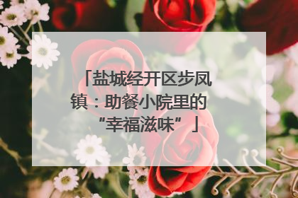 盐城经开区步凤镇：助餐小院里的“幸福滋味”