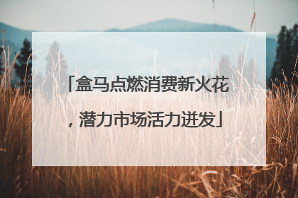 盒马点燃消费新火花,潜力市场活力迸发