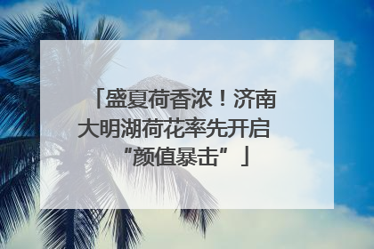 盛夏荷香浓！济南大明湖荷花率先开启“颜值暴击”