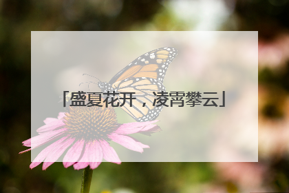 盛夏花开，凌霄攀云