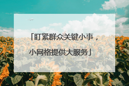 盯紧群众关键小事，小网格提供大服务