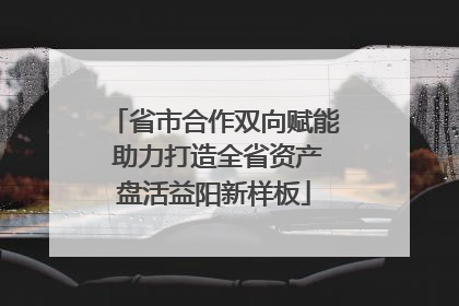 省市合作双向赋能 助力打造全省资产盘活益阳新样板