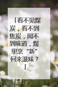 看不见煤炭，看不到焦炭，闻不到味道，煤里烹“新”何来滋味？
