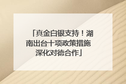 真金白银支持！湖南出台十项政策措施深化对德合作