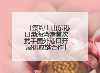 签约！山东港口渤海湾港首次携手国外港口开展供应链合作