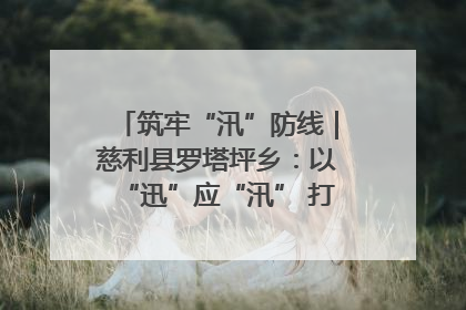 筑牢“汛”防线｜慈利县罗塔坪乡：以“迅”应“汛” 打赢暴雨防御战
