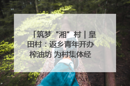 筑梦“湘”村｜皇田村：返乡青年开办榨油坊 为村集体经济“加油”