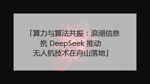 算力与算法共振：浪潮信息携 DeepSeek 推动无人机技术在舟山落地