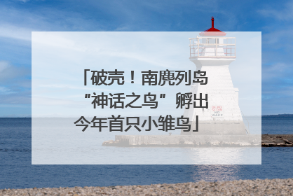破壳！南麂列岛“神话之鸟”孵出今年首只小雏鸟