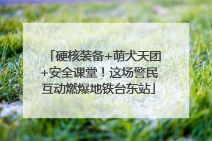 硬核装备+萌犬天团+安全课堂！这场警民互动燃爆地铁台东站