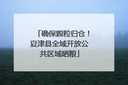 确保颗粒归仓！夏津县全域开放公共区域晒粮