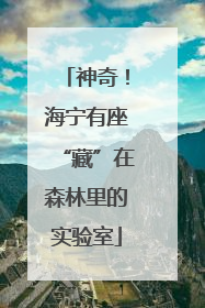 神奇！海宁有座“藏”在森林里的实验室