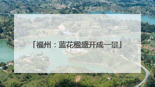 福州：蓝花楹盛开成一景