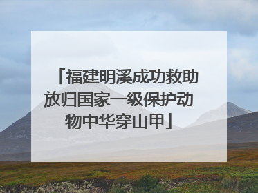 福建明溪成功救助放归国家一级保护动物中华穿山甲