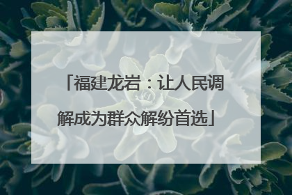 福建龙岩：让人民调解成为群众解纷首选