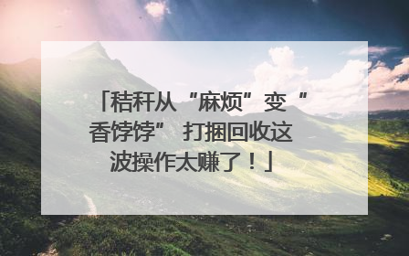 秸秆从“麻烦”变“香饽饽” 打捆回收这波操作太赚了！