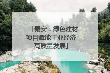 秦安：绿色建材项目赋能工业经济高质量发展