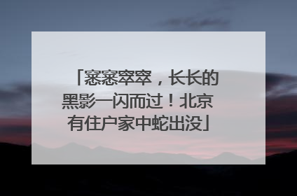 窸窸窣窣，长长的黑影一闪而过！北京有住户家中蛇出没